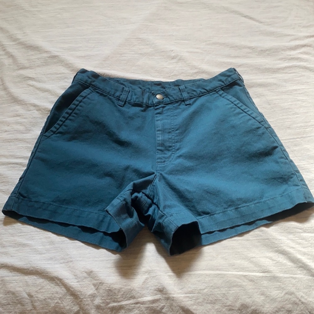 Patagonia Shorts